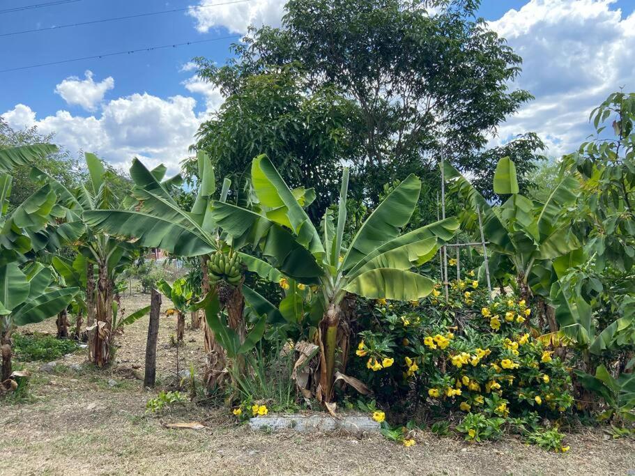 Casa Vacacional Buganvillas Malacatos Dış mekan fotoğraf